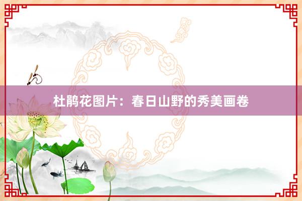 杜鹃花图片:春日山野的秀美画卷