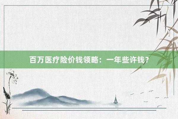 百万医疗险价钱领略：一年些许钱？